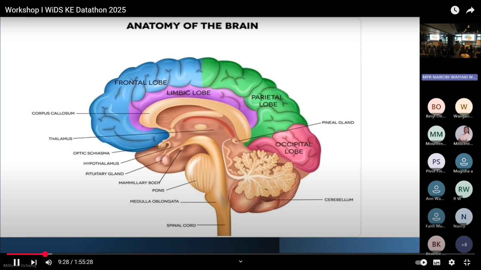 Akili Dada - Brain Health ML Model