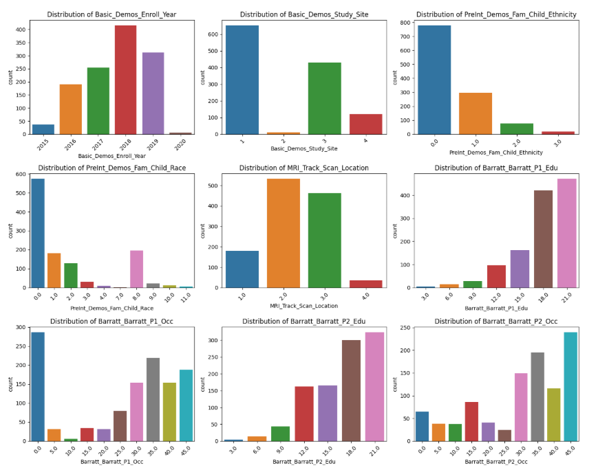 Clinical Decision Support AI